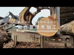 Verticale bandzaagmolen met CNC logboekvervoer