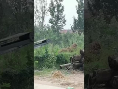 Machine voor het verwijderen van de schors van bomen