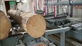 Verticale bandzaagmolen met hydraulische houtwagen - pneumatische houtgreep