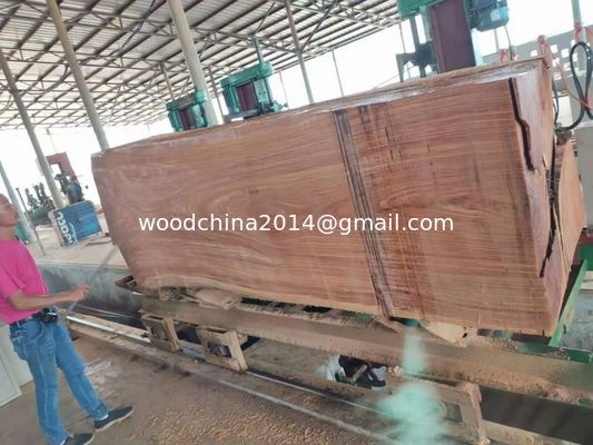 60'' Zware CNC-houtzaagmachine Verticale bandzaagmachine Commerciële houtzaag voor hout