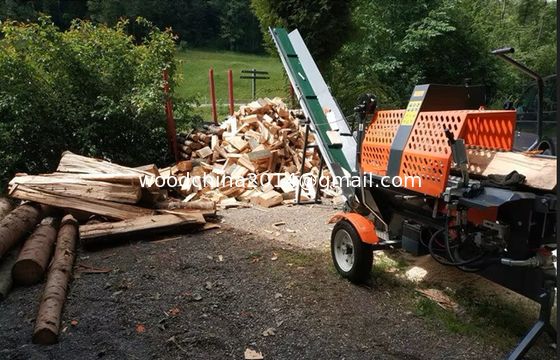 Gasoline-benzinemotor Houtsplitter Houtverwerker goedgekeurd voor het gebruik op de weg