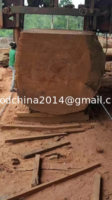 Hoogwaardige houtzaagmachine Grote horizontale bandzaagmachines voor groot hout