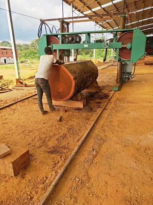 Hoogwaardige houtbewerking zaagmachine horizontale draagbare bandzaag zaagmachine houtbewerkingsband zaagmachine
