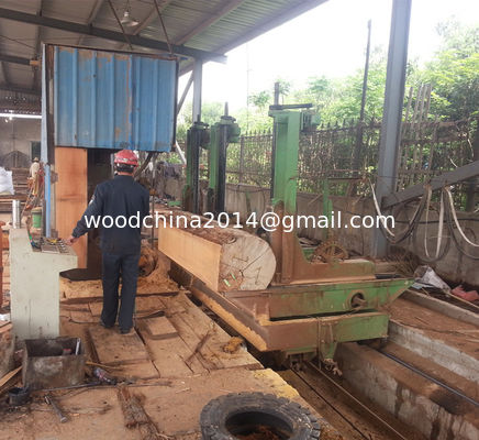Houtbewerkingszaagmachines Hout snijden Verticale bandzaagmachine met vervoer, CNC-bandzaag